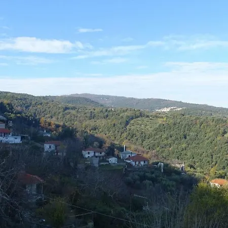 Veneto No 2